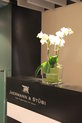 Orchidée en cubes de verre