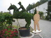 Privet show jumper with horse